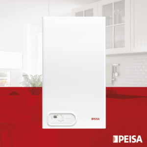 Calefón Peisa Acqua