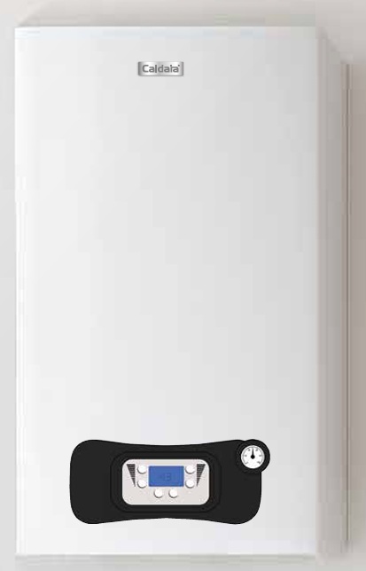 Caldera Caldaia Ecco 24 Dual Service